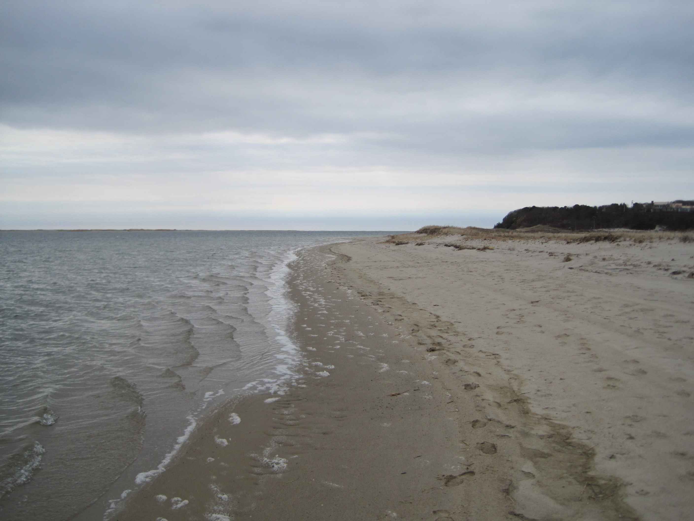 Sandy shoreline curving beside calm water at Monomoy National Wildlife Refuge on Cape Cod
